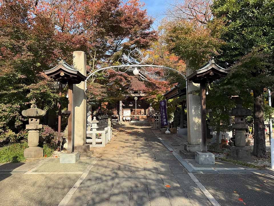 小石川　鎮守の杜