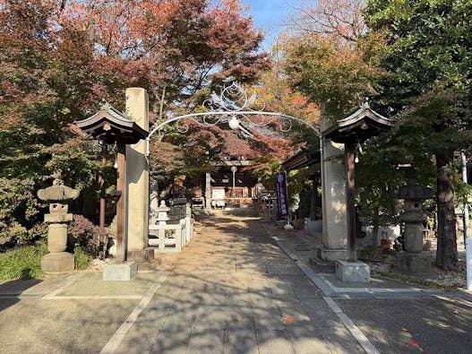 小石川　鎮守の杜