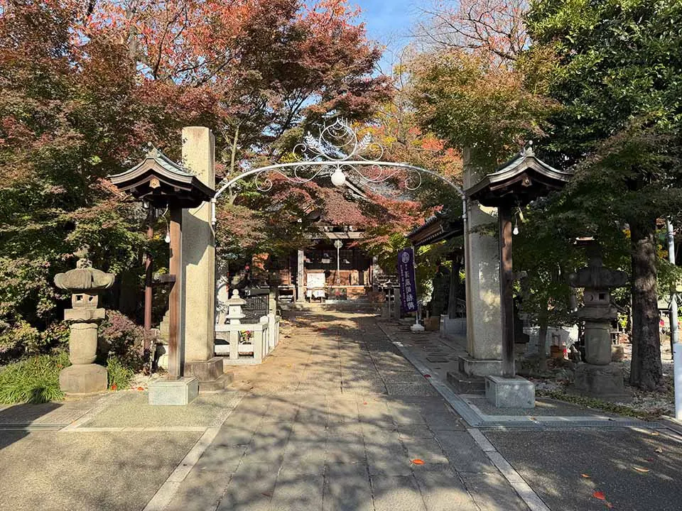 小石川　鎮守の杜 境内
