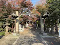 小石川　鎮守の杜 境内