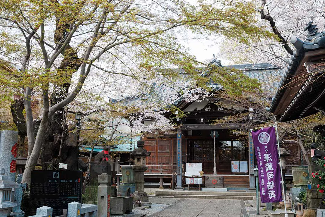 小石川　鎮守の杜 境内