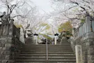 小石川　鎮守の杜 境内