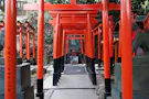 小石川　鎮守の杜 境内