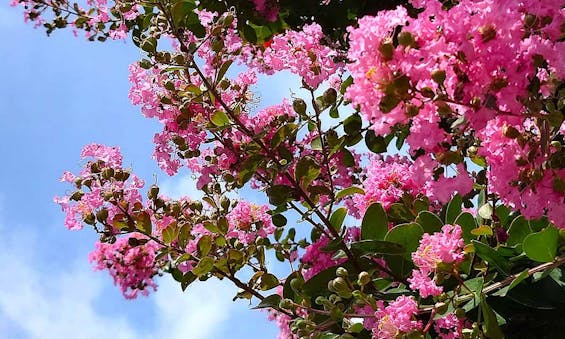豊橋霊園 源立寺