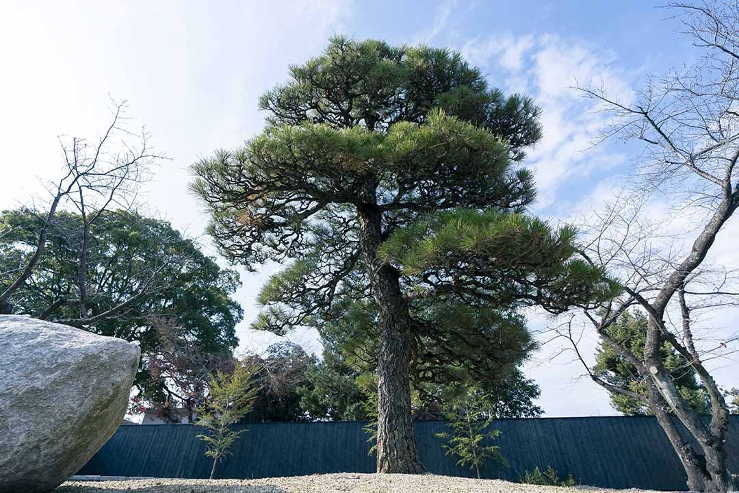 徳雲寺　樹木葬『慈雲』