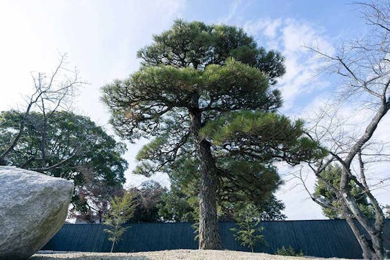 徳雲寺　樹木葬『慈雲』