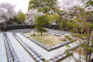 徳雲寺　樹木葬『慈雲』