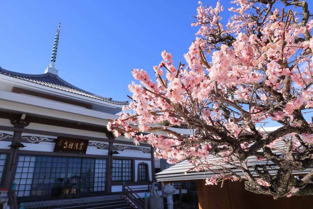 富士庭苑 宗清寺本堂