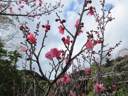 興聖寺 樹木葬霊園
