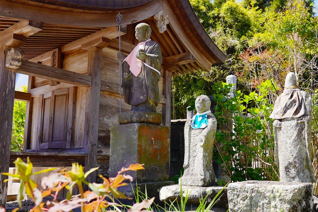 興聖寺 樹木葬霊園