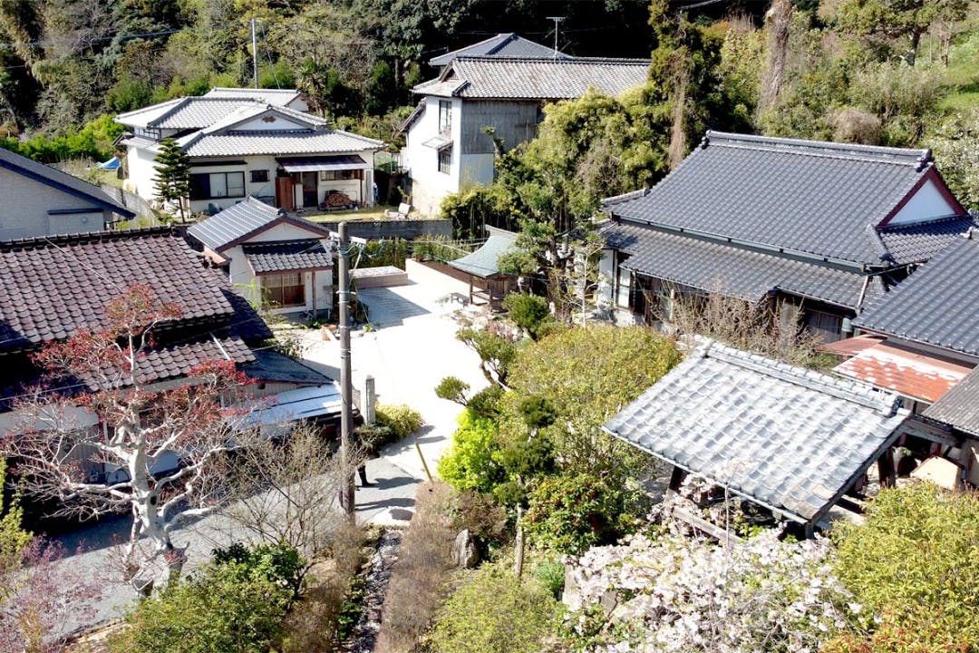 興聖寺 樹木葬霊園