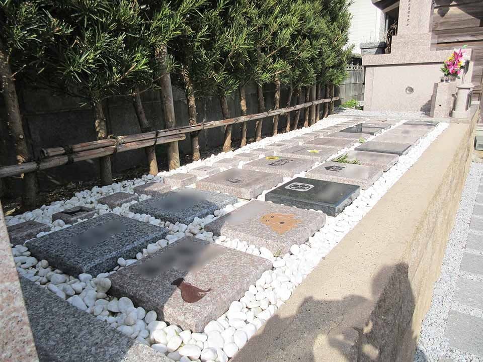 興聖寺 樹木葬霊園