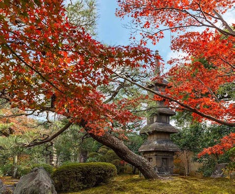 正伝永源院樹木葬
