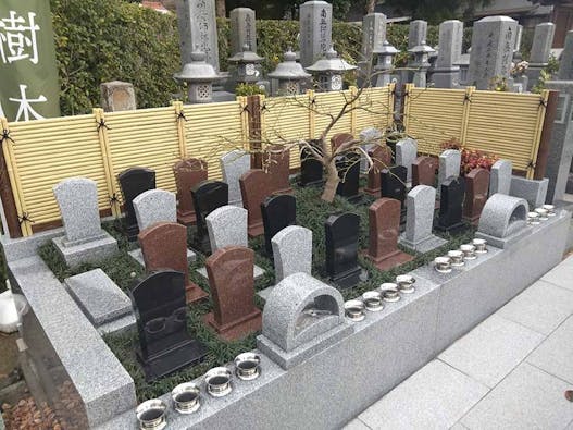 出雲よろこびの樹木葬 龍善寺