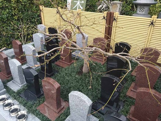 出雲よろこびの樹木葬 龍善寺