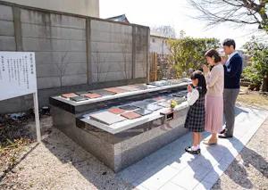 善照寺霊園(松戸市松戸)の樹木葬