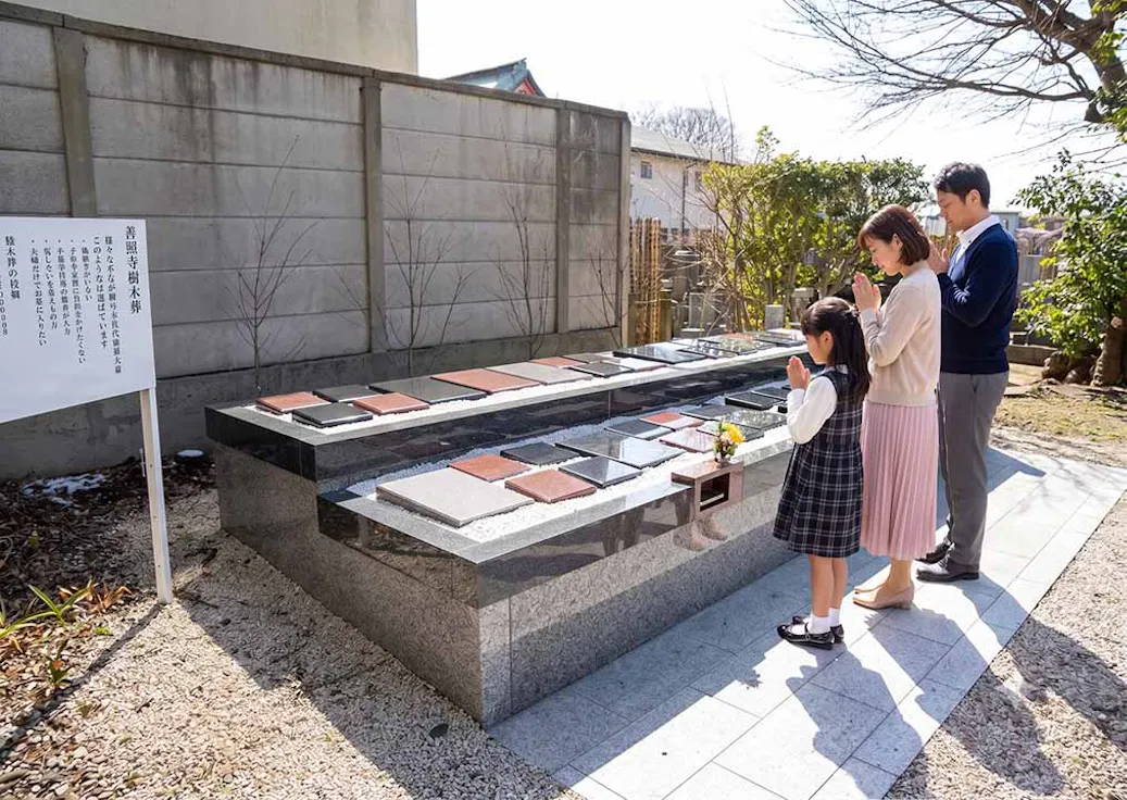 善照寺霊園(松戸市松戸)の樹木葬