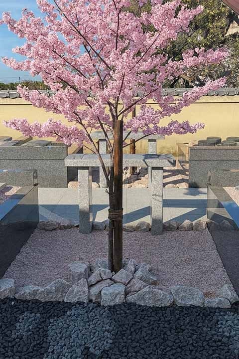 樹木葬霊園「水都の杜」 シンボルツリーの桜