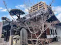 大阪四天王寺　壽法寺霊園