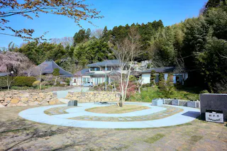 白石樹木葬