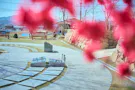 白石樹木葬
