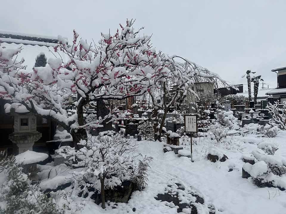 宝性寺　アーバン熊谷籠原樹木葬墓地