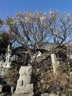 宝性寺 アーバン熊谷籠原樹木葬墓地
