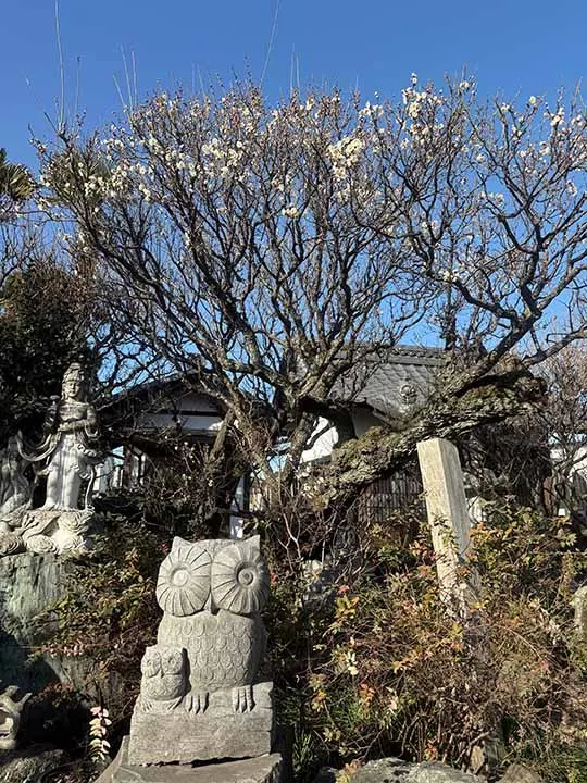 宝性寺　アーバン熊谷籠原樹木葬墓地