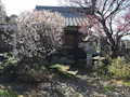 宝性寺　アーバン熊谷籠原樹木葬墓地