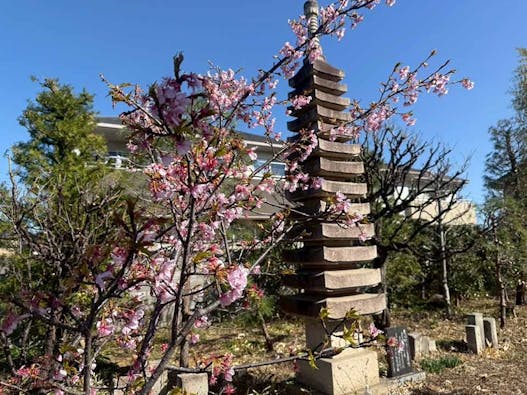 宝性寺 アーバン熊谷籠原樹木葬墓地
