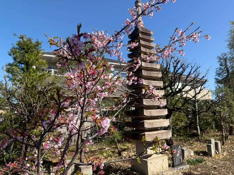 宝性寺　アーバン熊谷籠原樹木葬墓地