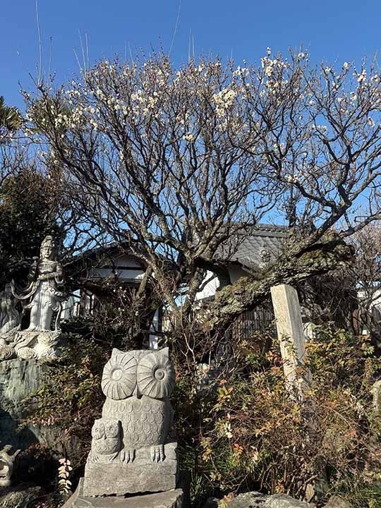 宝性寺　アーバン熊谷籠原樹木葬墓地