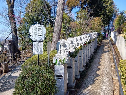 吉祥院墓苑「藤の杜」