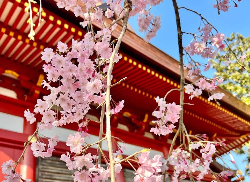 柏永代供養墓 吉祥院
