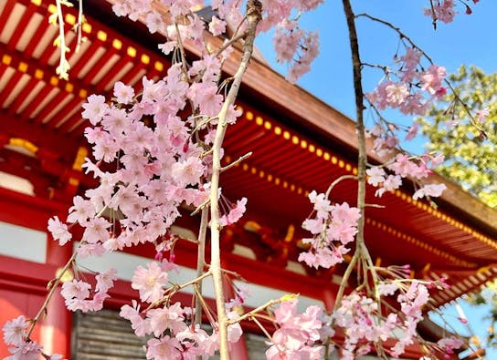 柏永代供養霊園 吉祥院