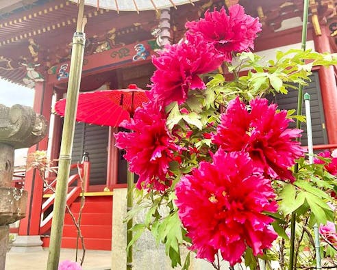 柏永代供養霊園 吉祥院