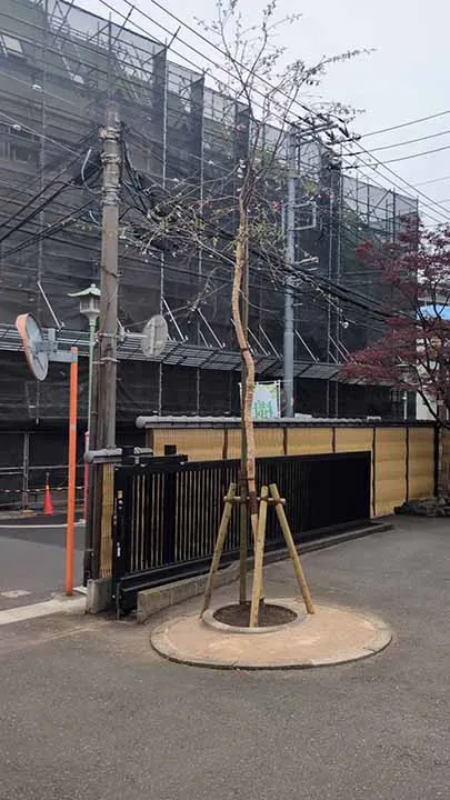 たこ薬師 成就院 樹木葬 境内