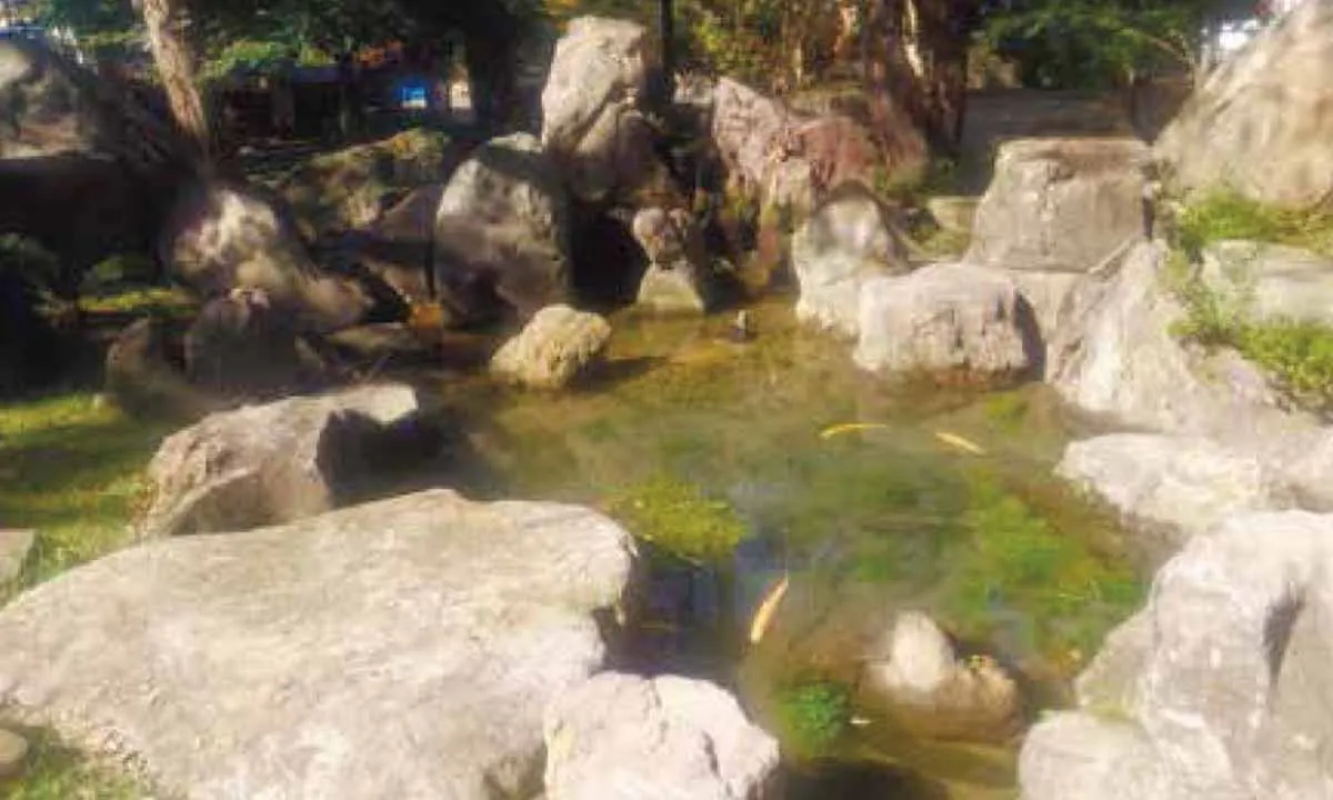 法蔵寺 樹木葬 境内