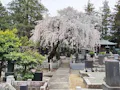 法蔵寺 樹木葬 墓地風景