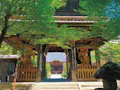 法蔵寺 樹木葬 山門