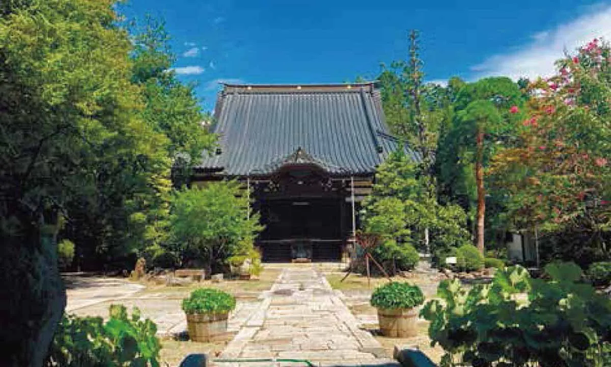 法蔵寺 樹木葬 本堂