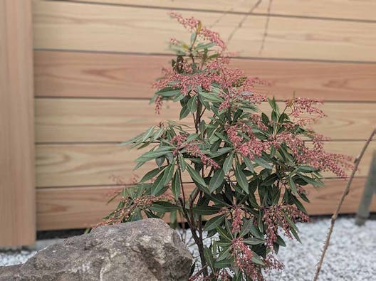 杜のおまいりテラス 仙台五橋 常念寺納骨堂