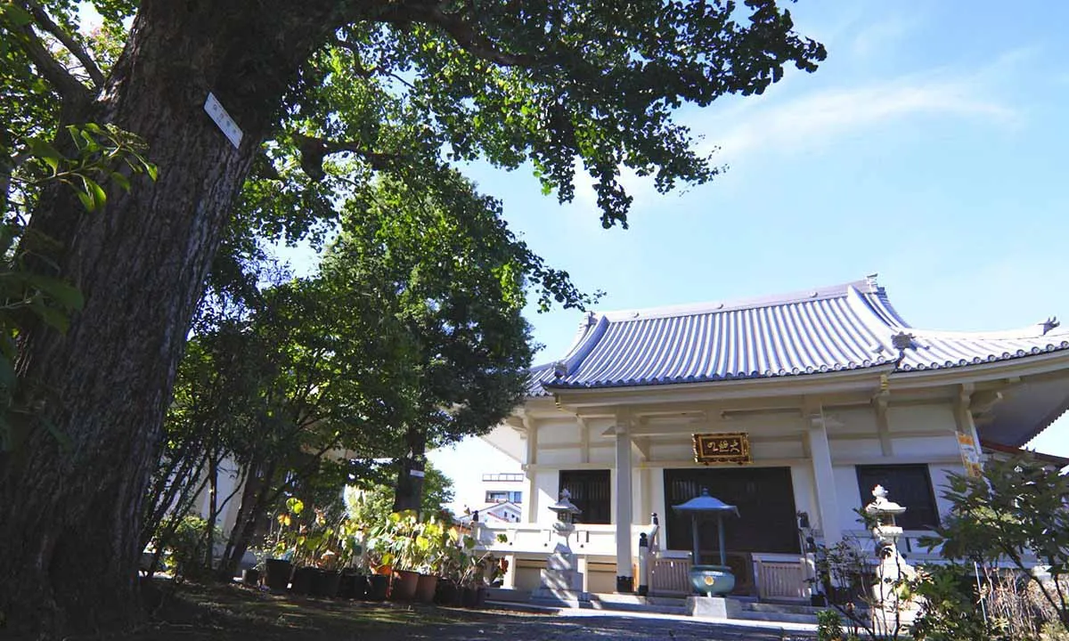 円光院「樹木葬墓おもかげ」 本堂