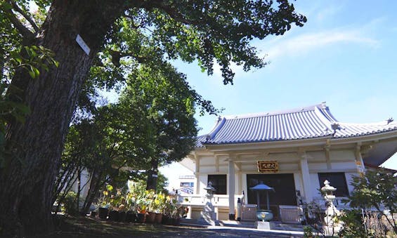 円光院「樹木葬墓おもかげ」