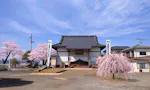 桜河原樹木葬