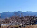 東やまなし墓苑