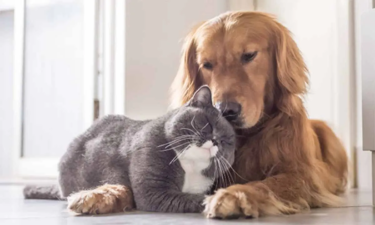 本門佛立宗 佛立寺 「名古屋プレイス納骨堂みずほ」