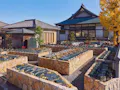 流山市 樹木葬 「彩華」