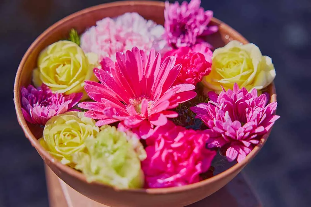 流山市 樹木葬 「彩華」