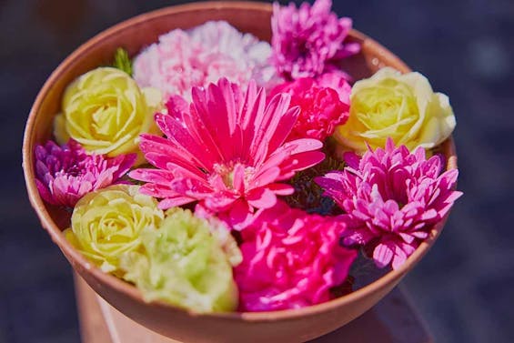 流山市 樹木葬 「彩華」